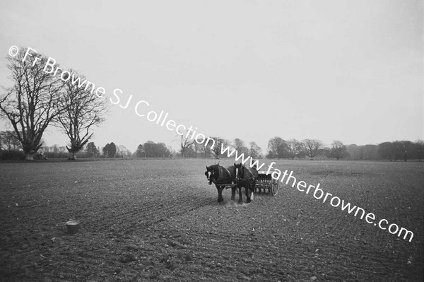 SOWING CORN